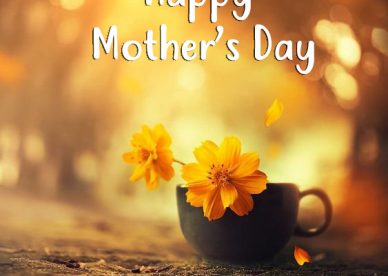 Beautiful Mother's Day Images - Happy Birthday Wishes, Memes, SMS & Greeting eCard Images