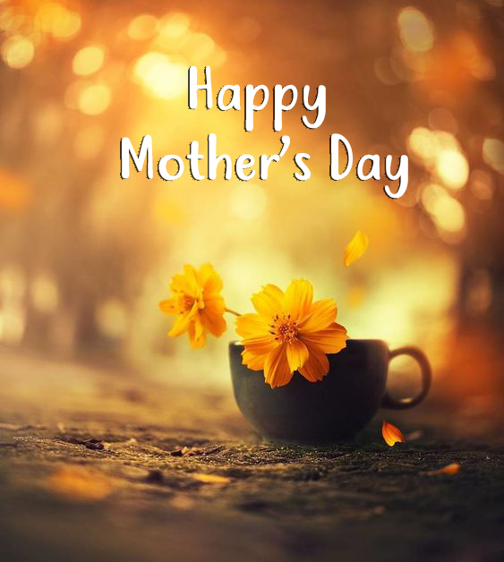 Beautiful Mother's Day Images - Happy Birthday Wishes, Memes, SMS & Greeting eCard Images