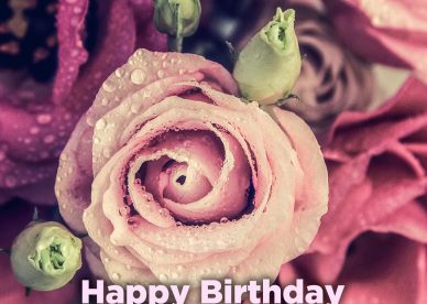 Awesome and Birthday flower gifts for her - Happy Birthday Wishes, Memes, SMS & Greeting eCard Images