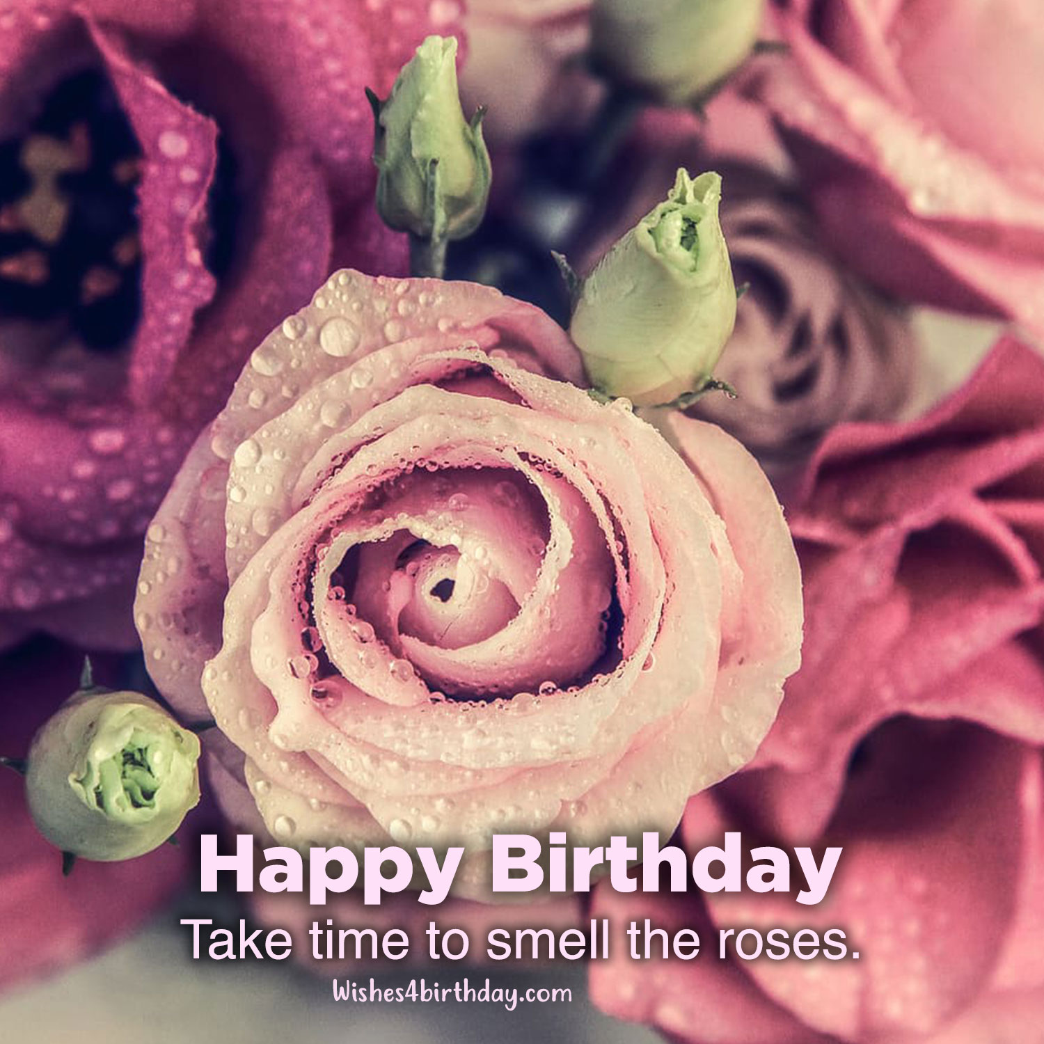 Awesome and Birthday flower gifts for her - Happy Birthday ...
