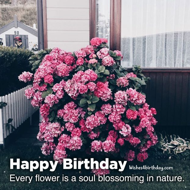 Beautiful and Amazing Birthday flower gifts for her - Happy Birthday Wishes, Memes, SMS & Greeting eCard Images