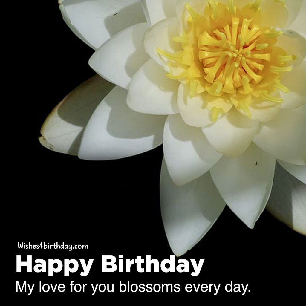 Most innovative Birthday flower gifts for her Happy Birthday Wishes