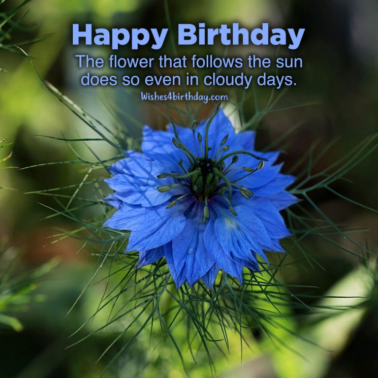 Most searched Birthday flower gifts for her - Happy Birthday Wishes ...
