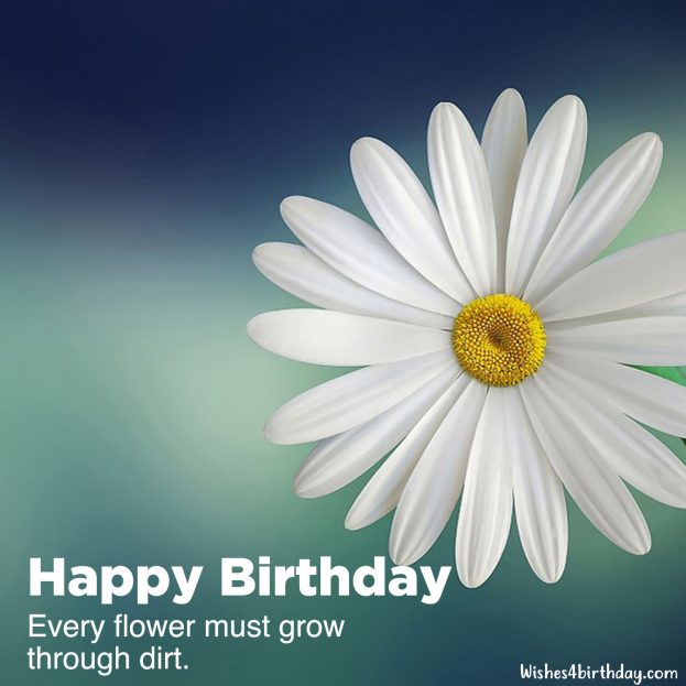 Most shared Birthday flower gifts for her - Happy Birthday Wishes, Memes, SMS & Greeting eCard Images
