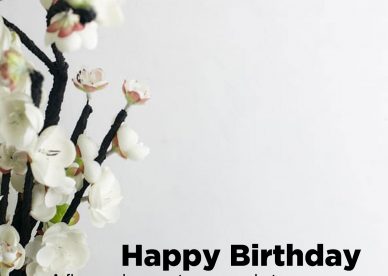 Recent collection of Birthday flower gifts for her - Happy Birthday Wishes, Memes, SMS & Greeting eCard Images