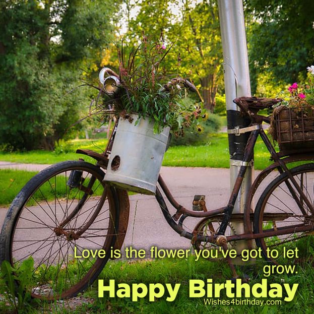 Amazing Birthday text images and quotes 2021 - Happy Birthday Wishes, Memes, SMS & Greeting eCard Images
