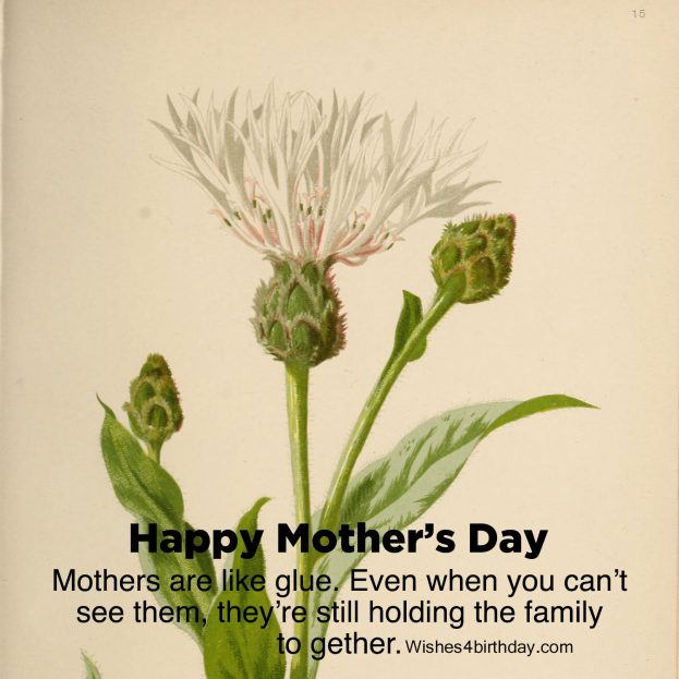 Beautiful and Amazing Happy mother’s day ever - Happy Birthday Wishes, Memes, SMS & Greeting eCard Images