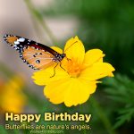Cute Birthday quotes images 2021 - Happy Birthday Wishes, Memes, SMS ...