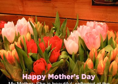 Free mother’s Day flower images for Mom - Happy Birthday Wishes, Memes, SMS & Greeting eCard Images