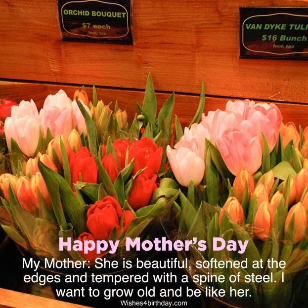 Free mother’s Day flower images for Mom - Happy Birthday Wishes, Memes, SMS & Greeting eCard Images