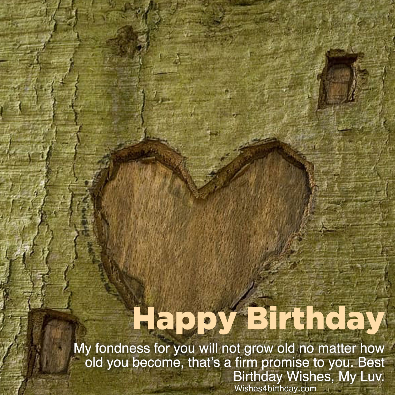 Download Happy Birthday Gift Png  Full Size PNG Image  PNGkit