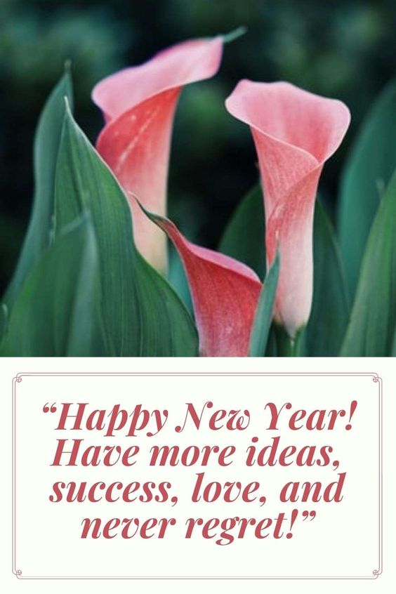 Happy New Year Never Regret 2023 - Happy New Year Never Regret 2023 - Happy Birthday Wishes, Memes, SMS & Greeting eCard Images