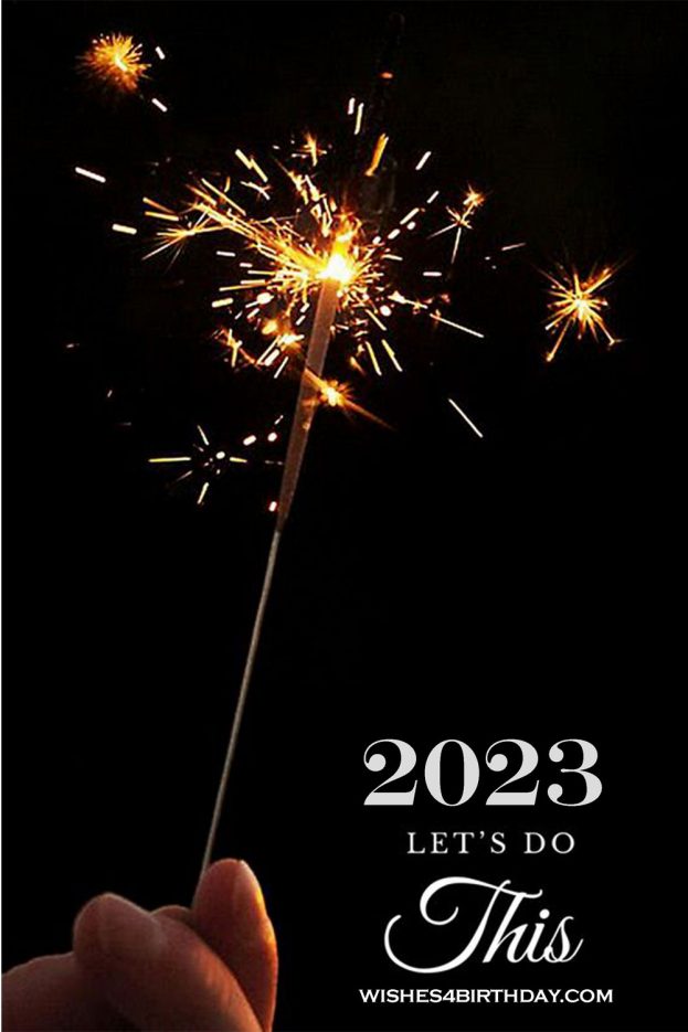 Let Us Do This Happy New - Happy Birthday Wishes, Memes, SMS & Greeting eCard Images Year Wishes 2023