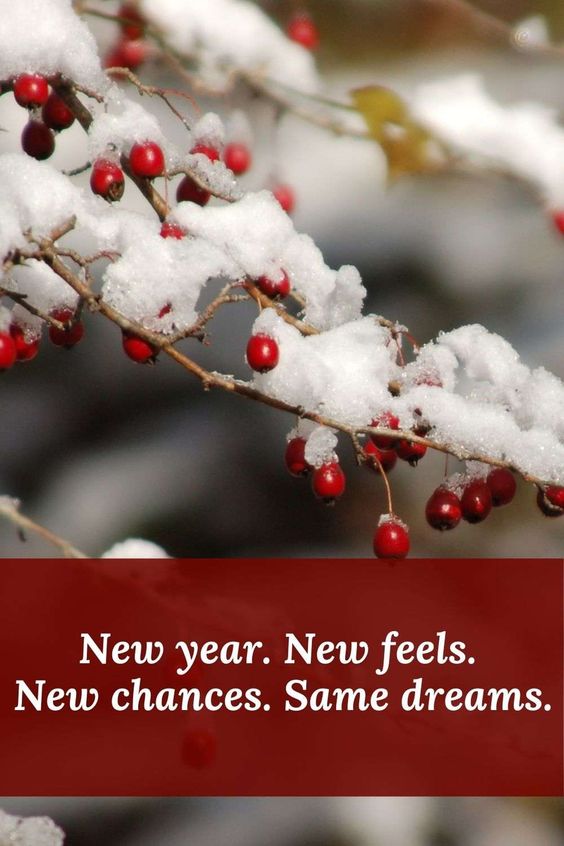 New Year 2023 New Dreams - Happy Birthday Wishes, Memes, SMS & Greeting eCard Images