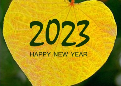 Happy New Year 2023 Wilderside Images - Happy Birthday Wishes, Memes, SMS & Greeting eCard Images