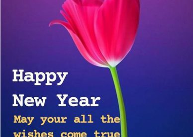 Happy New Year 2023 With Wishes Come True - Happy Birthday Wishes, Memes, SMS & Greeting eCard Images