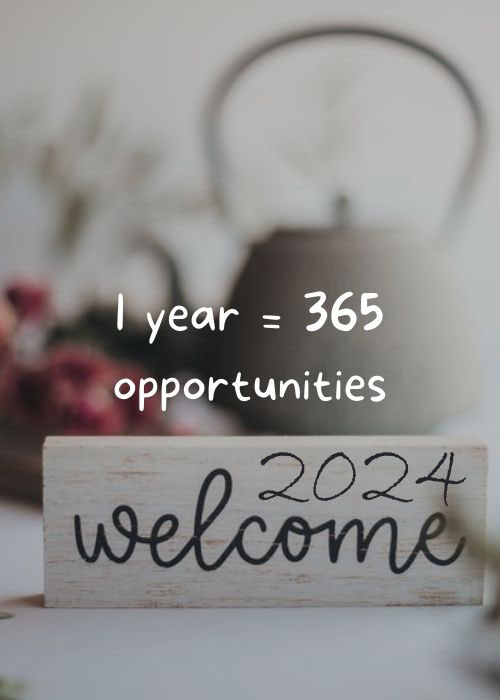 1 Year 365 Opportunities Quotes 2024
