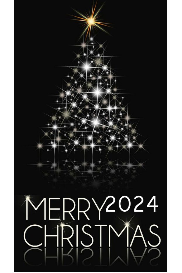 Top 20 Merry Christmas Photos 2024