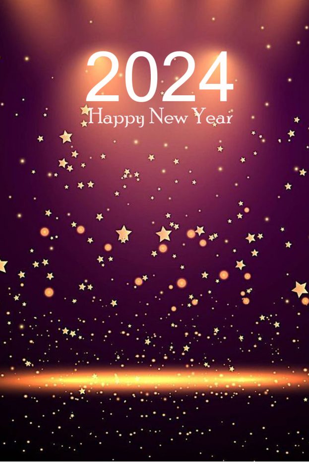 Happy New Year 2024 Stars Night Backgrounds