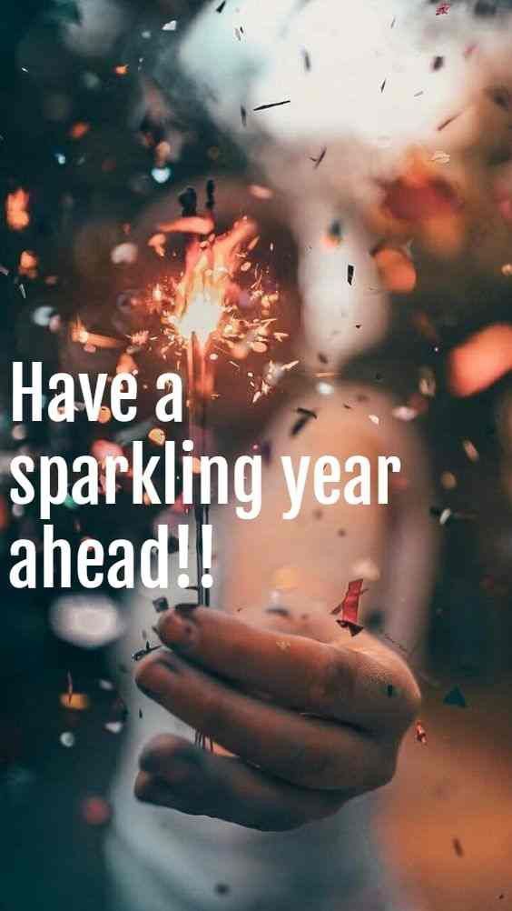 A Sparkling Year Ahead Wishing You All the Best in 2024