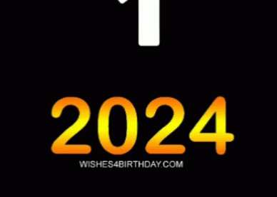 The Most Exclusive Happy New Year Countdown GIFs of 2024!